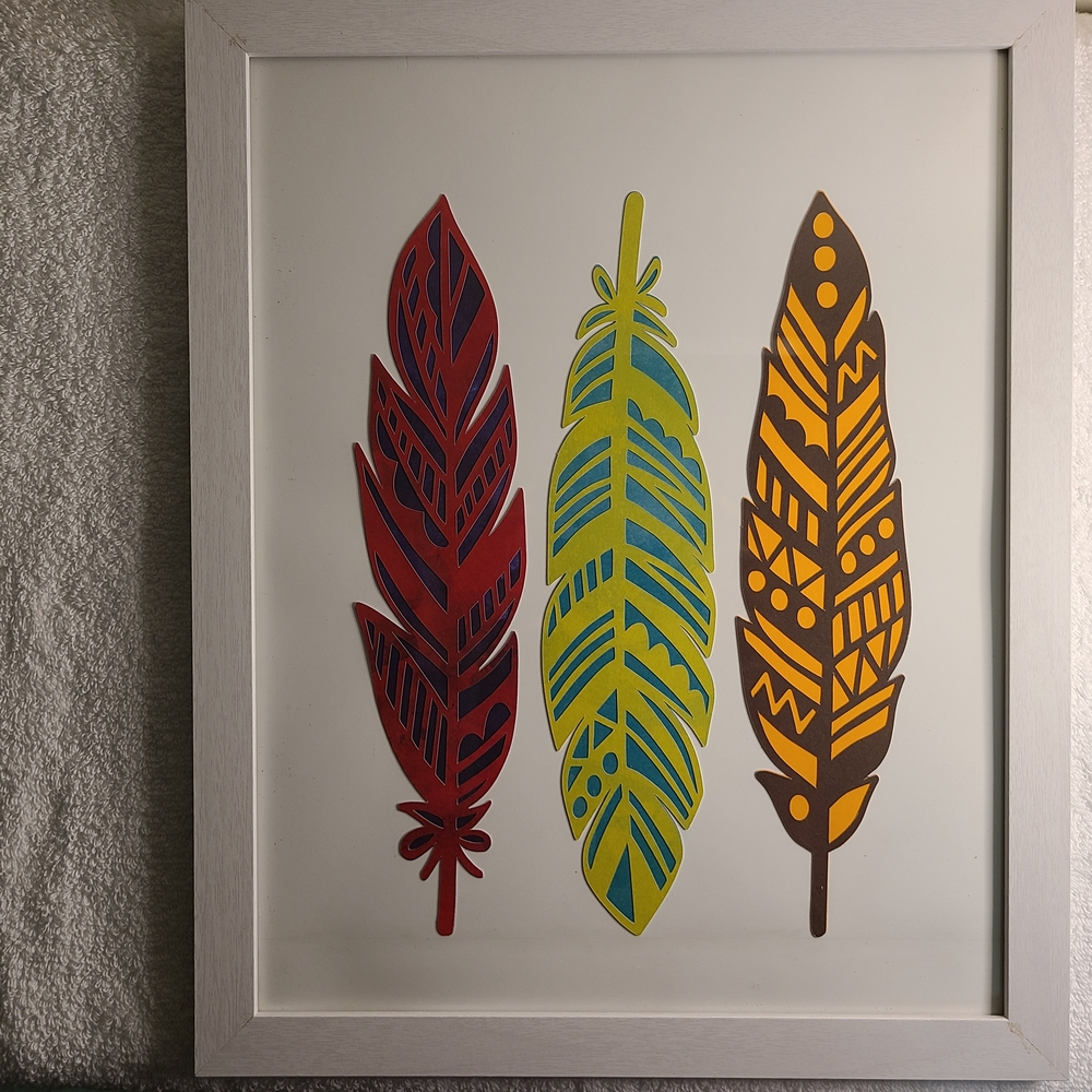 Framed Feather Art in Red, Blue, and Yellow